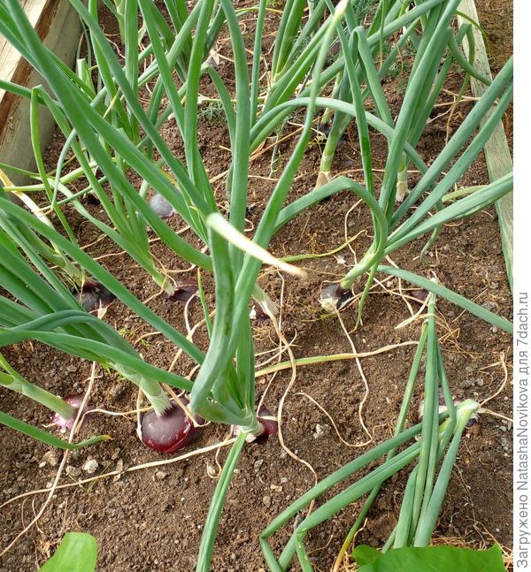 этот подождёт