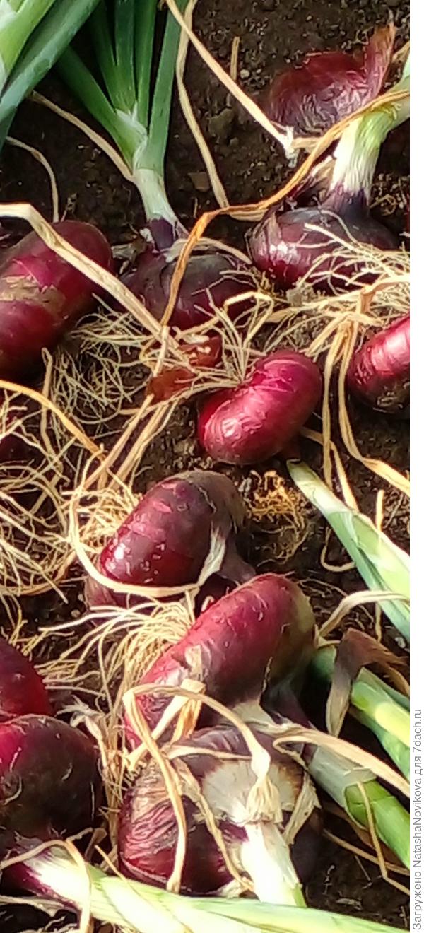 почти оделся