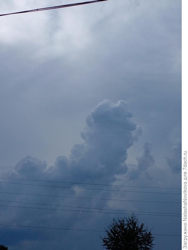 вчера вечером