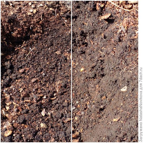 почва по всей грядке одинаковая и я бы не сказала, что она сухая.