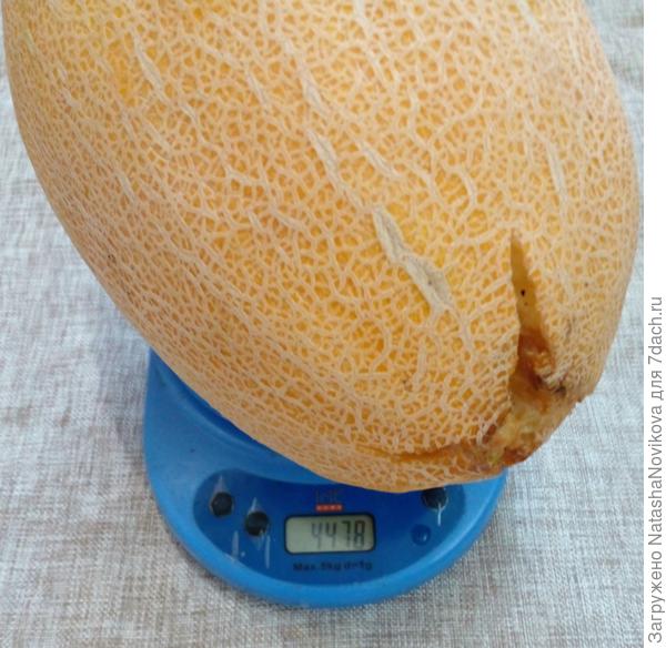 самая тяжелая треснула сильнее всех