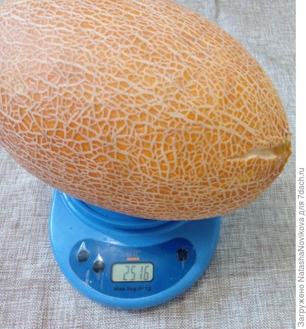 самая аленькая то же треснула