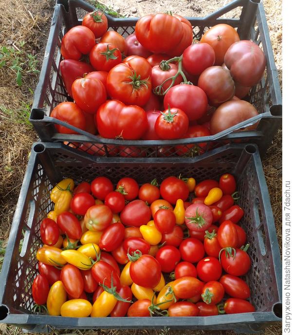 перерабатывать есть что:)