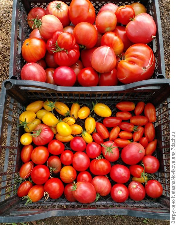 собралось сегодня