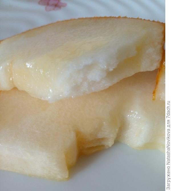 мякоть плотная мясистая