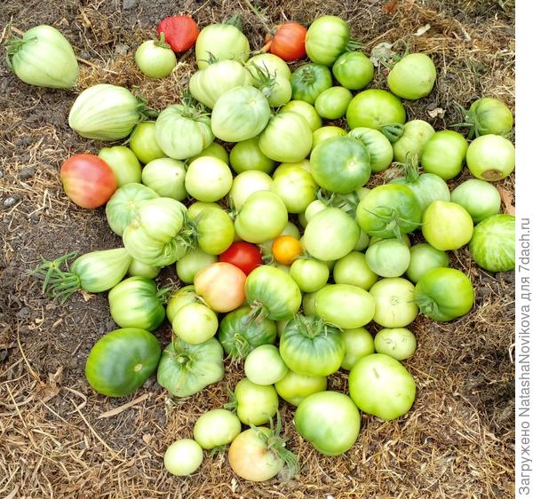 эту мелочёвку закопаю