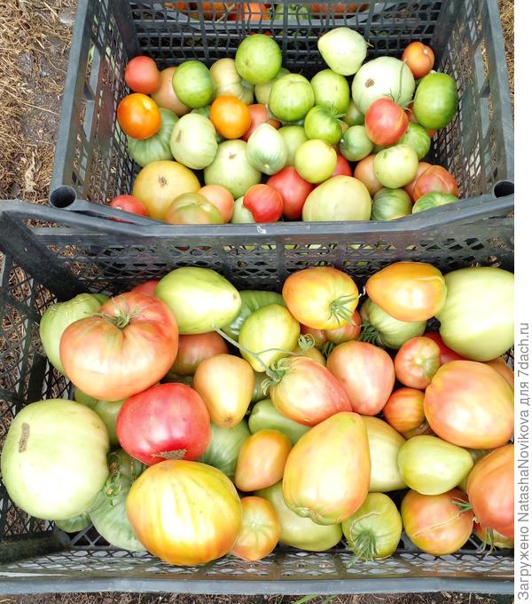 всё переработается, зима длинная