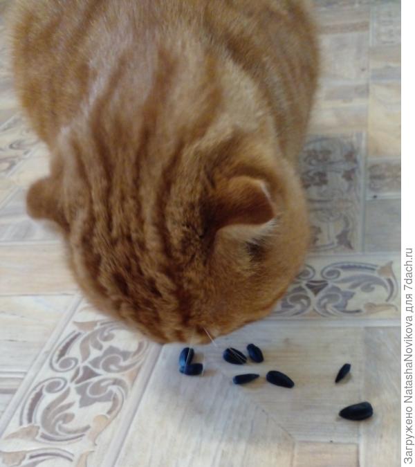 потом то, что на пол накидал:)