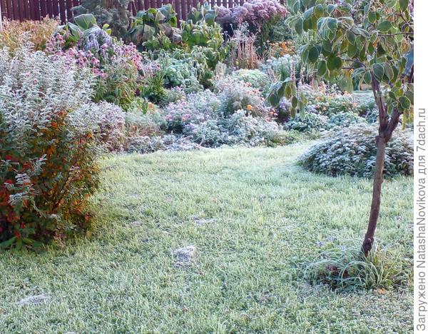 ну хоть без дожлей