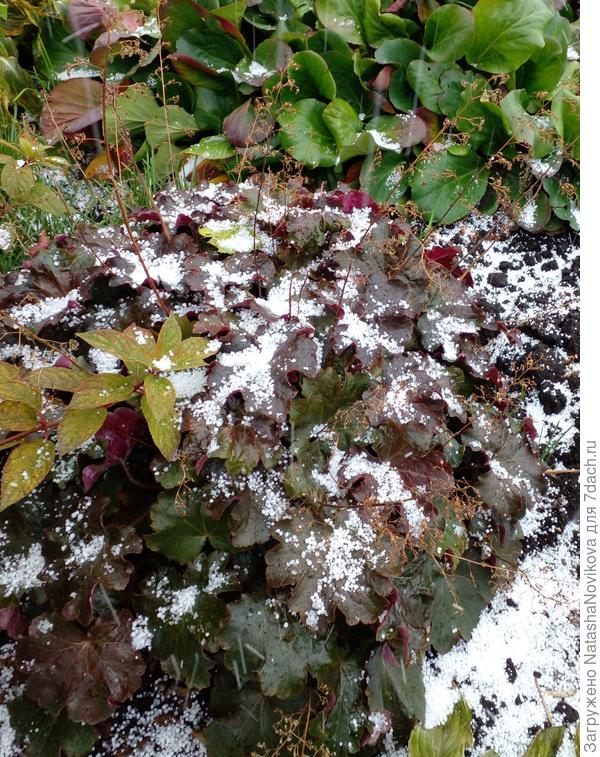 зима совсем близко