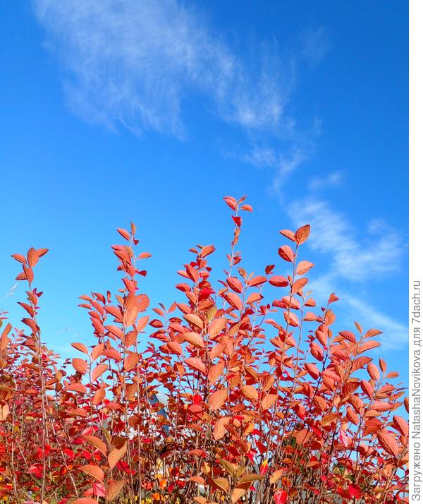 чистое синее небо:)