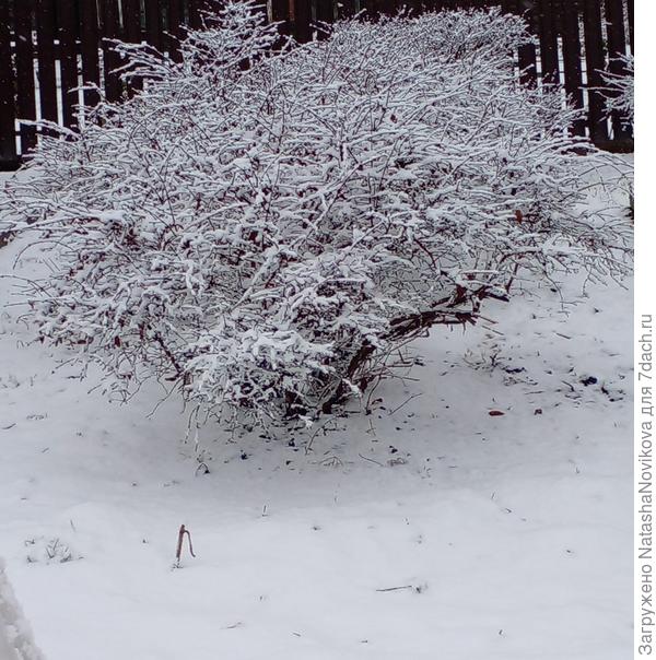 зима всё ближе.