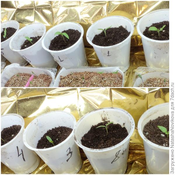 после перевалки