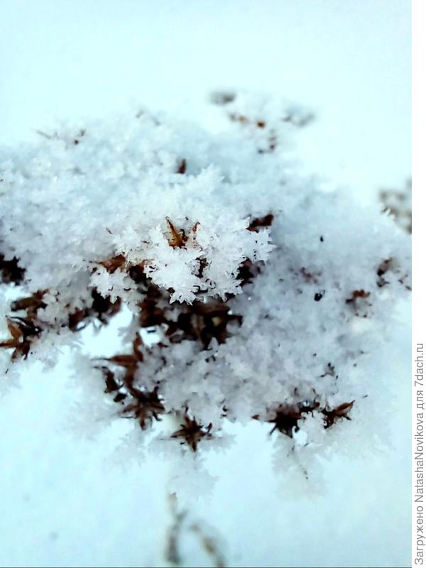 почти букет невесты