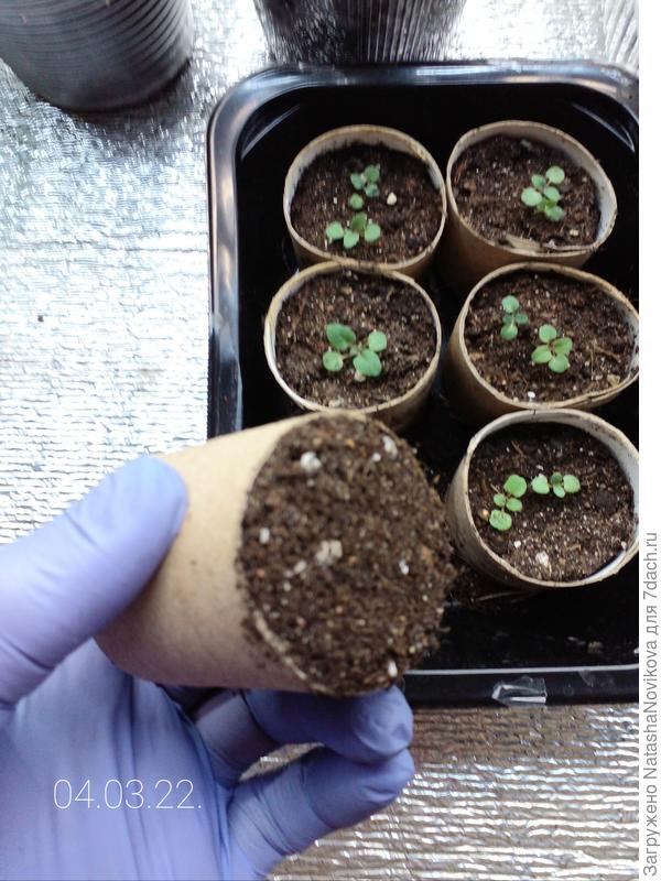 картонные втулки