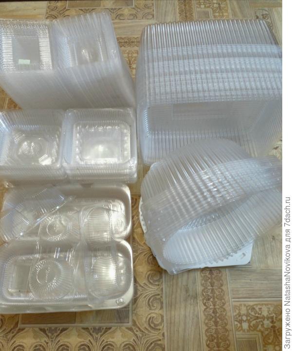 берегись семена и подоконники