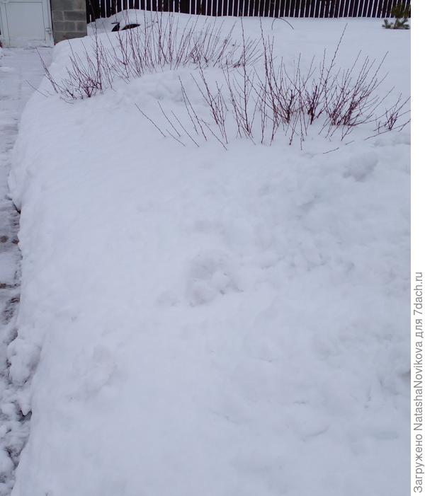 вдоль дорожки