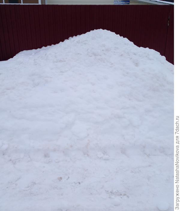 за забором с улицы