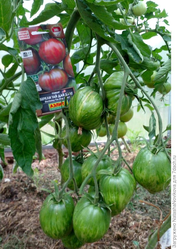 кисти вроде симпатично смотрятся