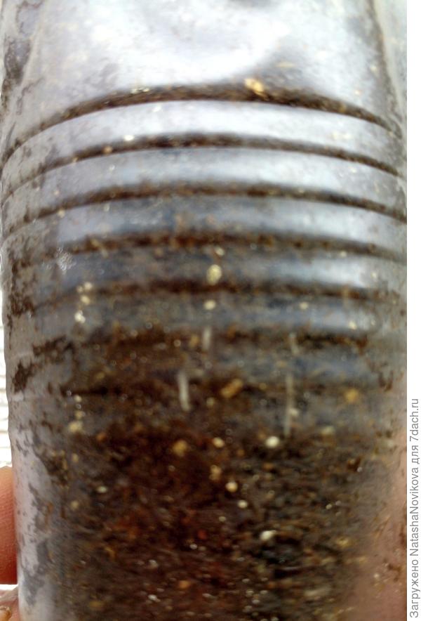 корешки по кругу одинакового размера, урааа