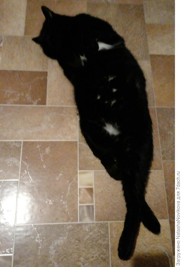 чёрный отполз, перегрелся