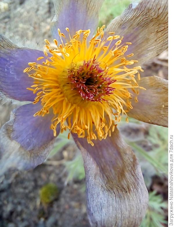 вроде ещё держатся