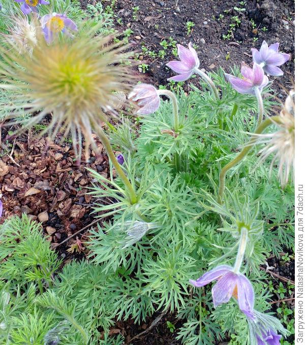 день/два и разлетелись