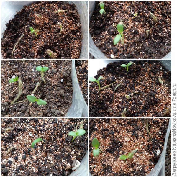 26 марта 2023г