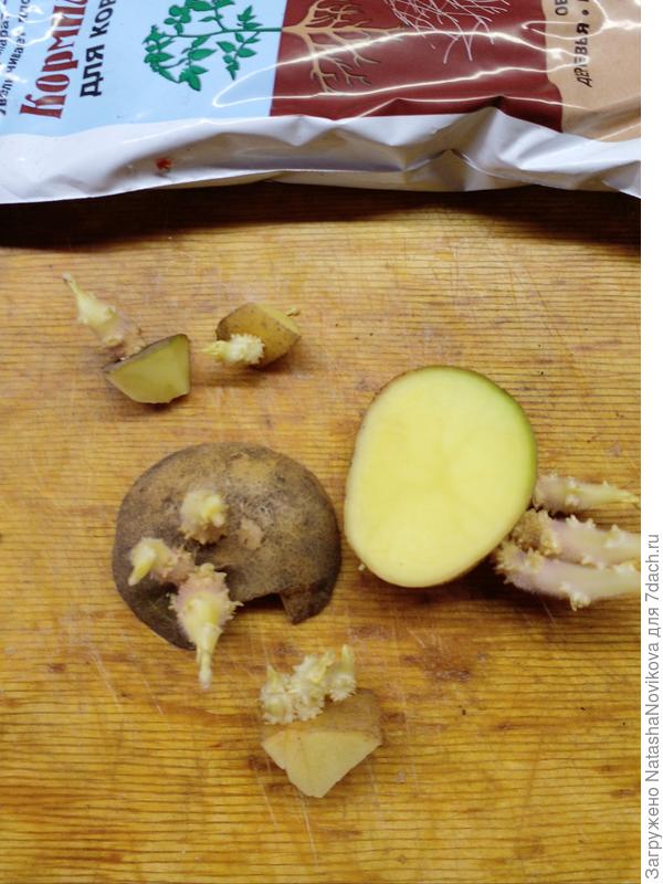 10 апреля посадка