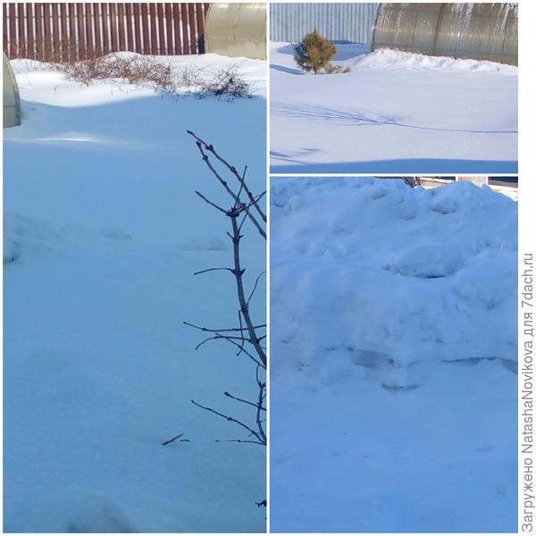 ночью было - 18° эх, весна, где же ты