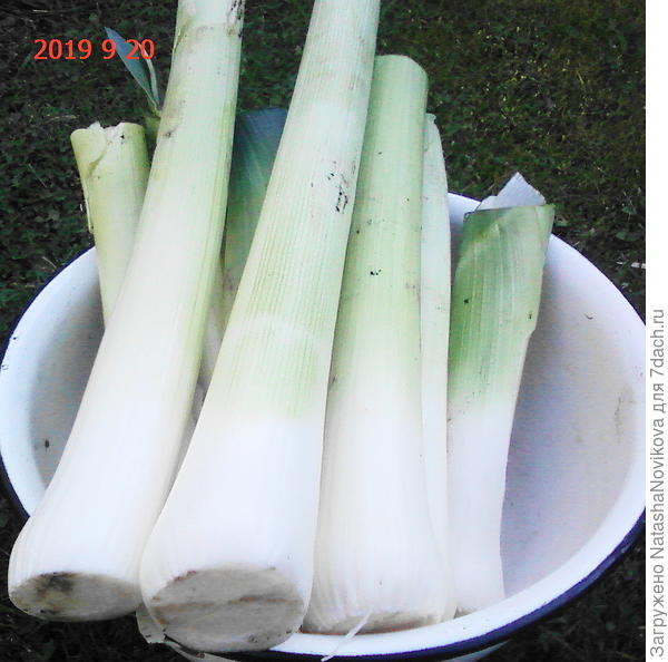 перед закладкой в камеру