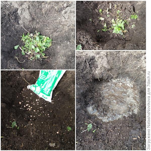 грею землю в лунках