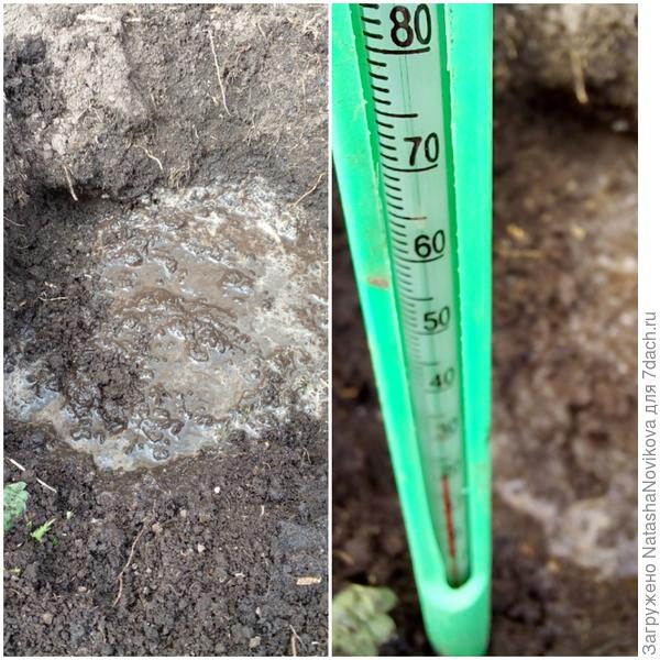 проверяю t, ниже +14° не высаживаю