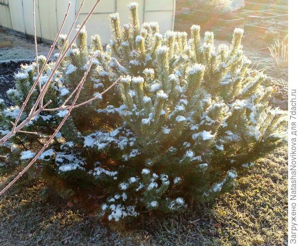 здравствуй, новый весенний день