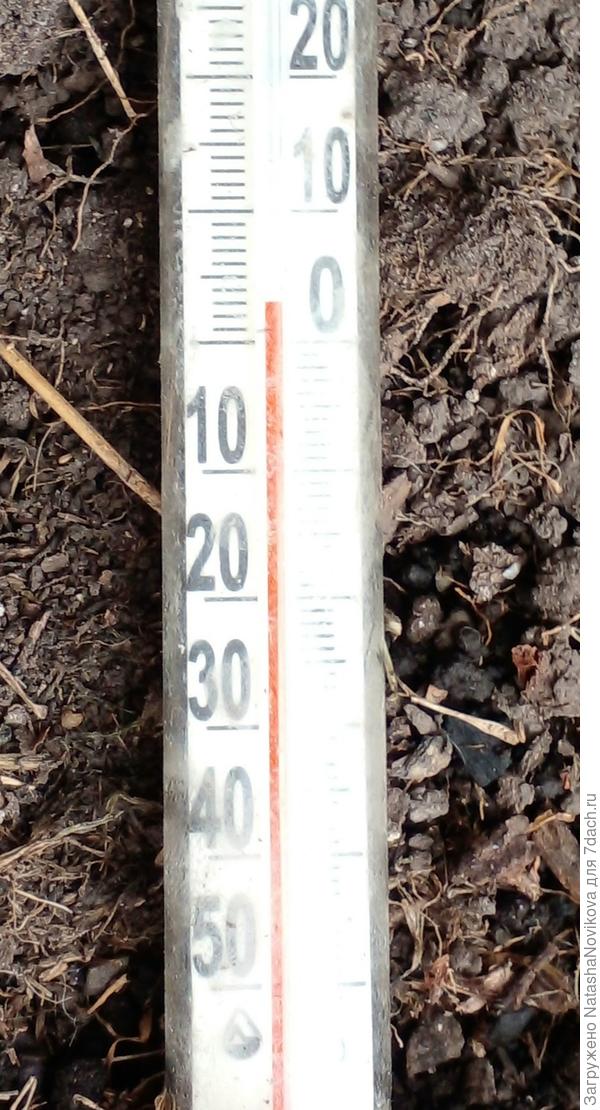 холодновато