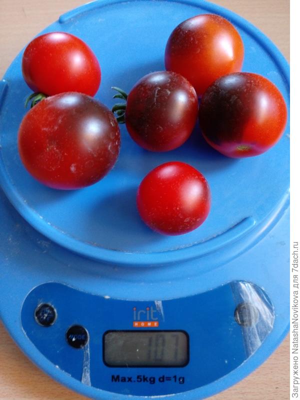 мало, но очень вкусно