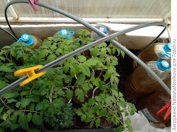 на дуги укрывной №60 и армированную плёнку