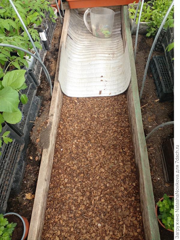 дорожку засыпала шелухой от шишки сверху положу блестяшку