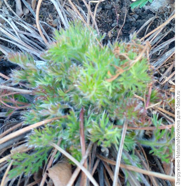 всё будет хорошо