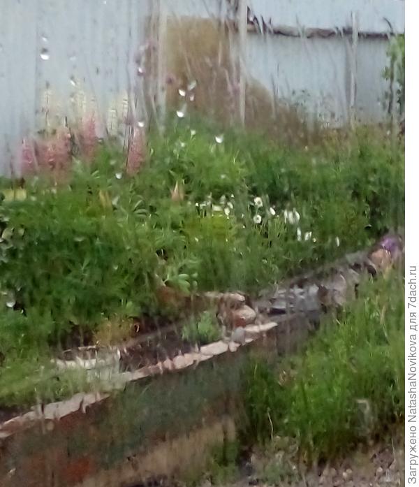 гремит ужосс как, страшно из дома выходить