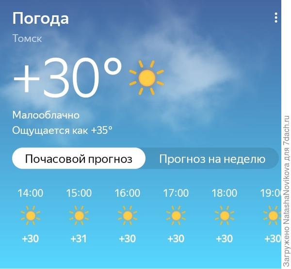 выход в огород в такую погоду запретила себе, пусть сорняки вольно колосятся, здоровье дороже.