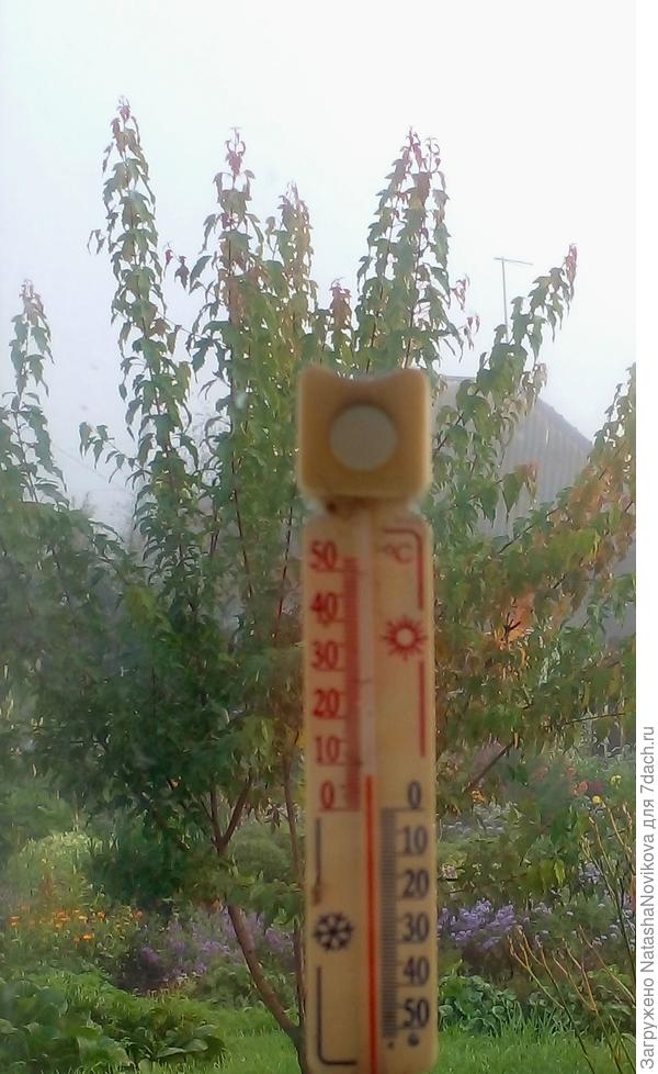 в сентябре 2024 года то же всё было нормально (другого фото нет)