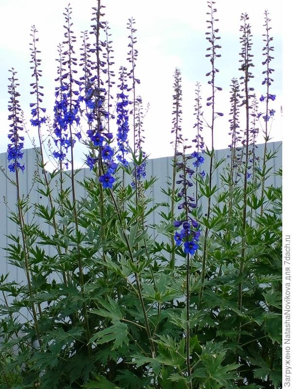 этому лет десять