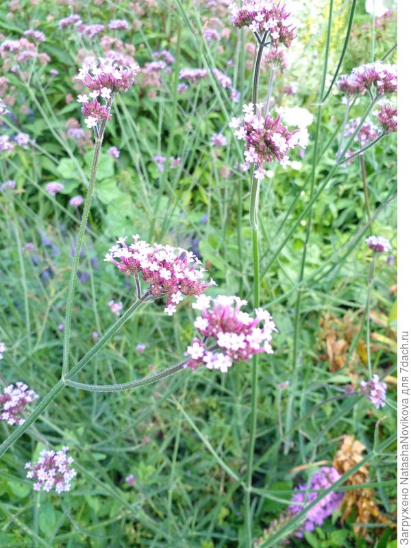 август 2022 года