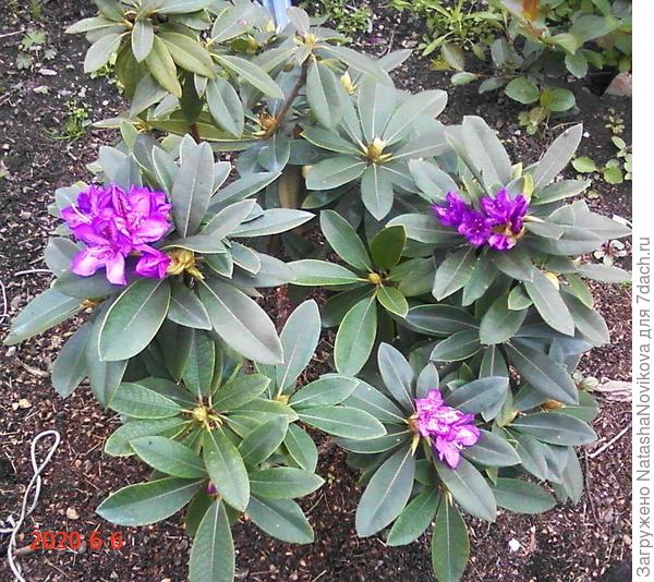 всё кануло в лету