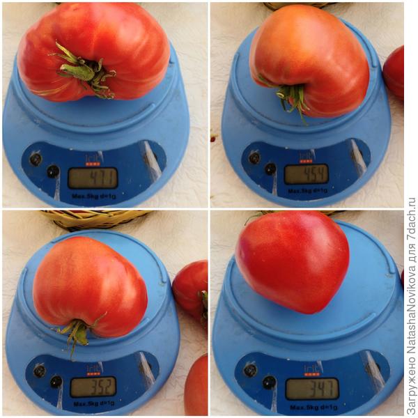 начало есть