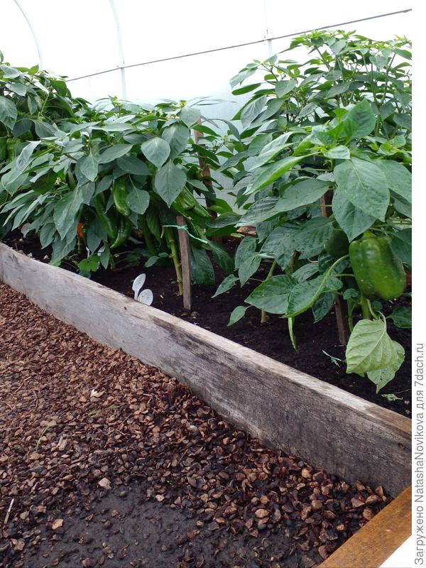 дождём промочило до середины теплички