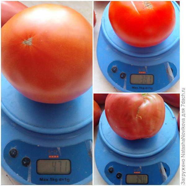 по весу почти олинаковые