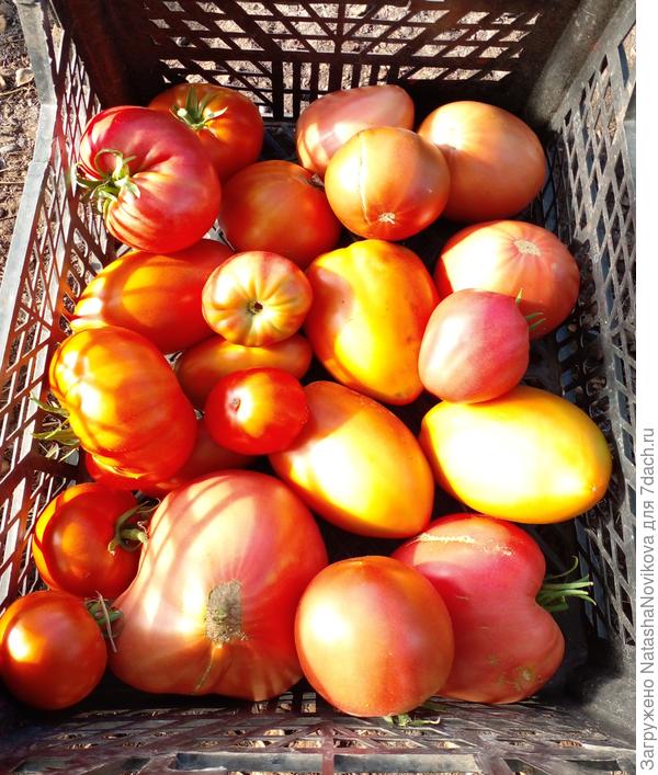 собралось сегодня