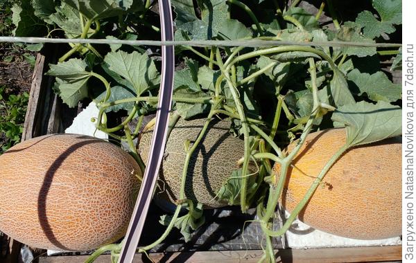 профилактику нужно было раньше начинать